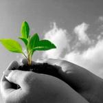 Opportunity with City of Grand Rapids for Graduate Students